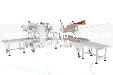 咸陽全自動伺服裝箱機廠商(哪些品牌值得信賴)？