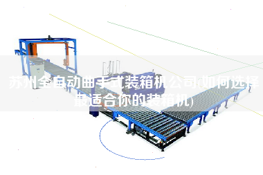 蘇州全自動曲手式裝箱機公司(如何選擇z適合你的裝箱機)